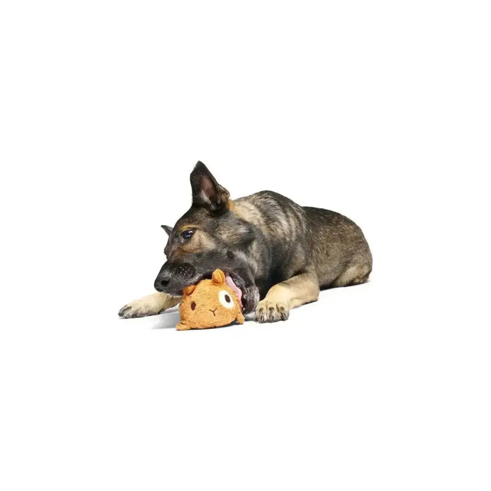 BARK Tinkles The Gerbil Dog Toys - Talis Us