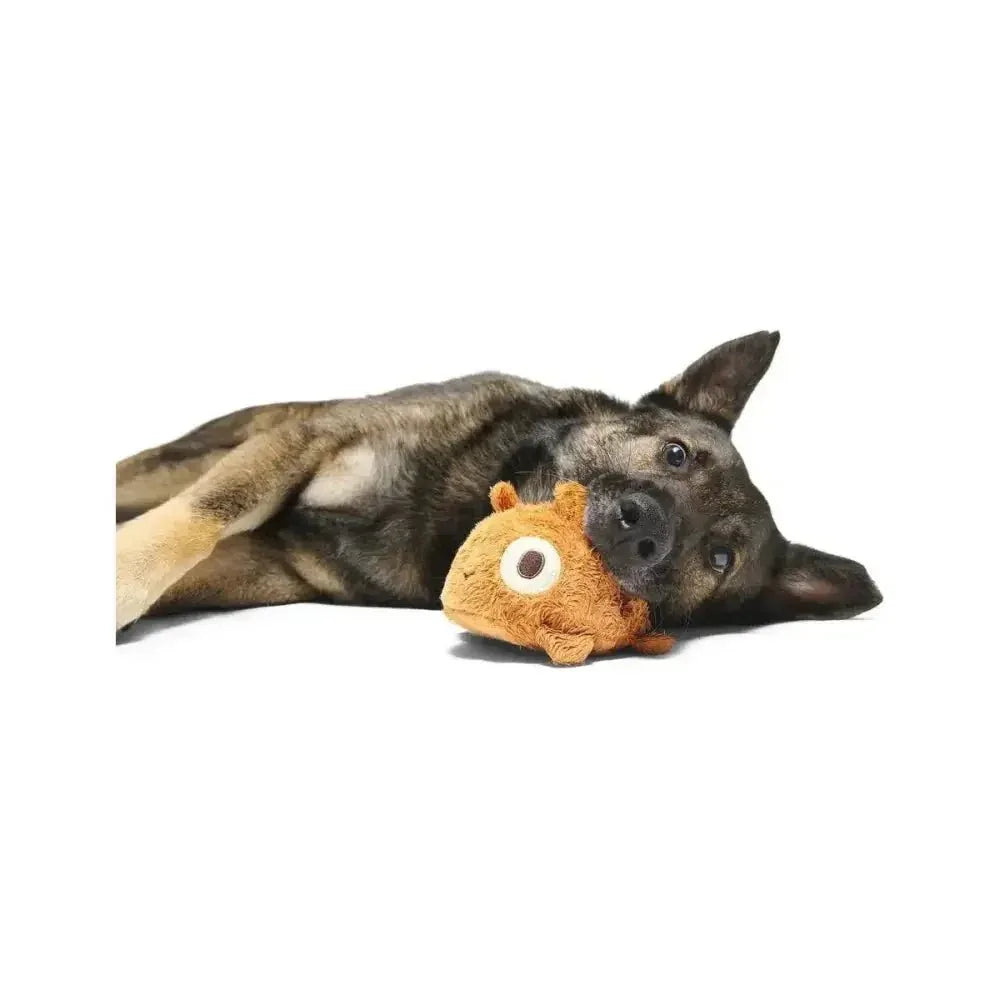 BARK Tinkles The Gerbil Dog Toys - Talis Us