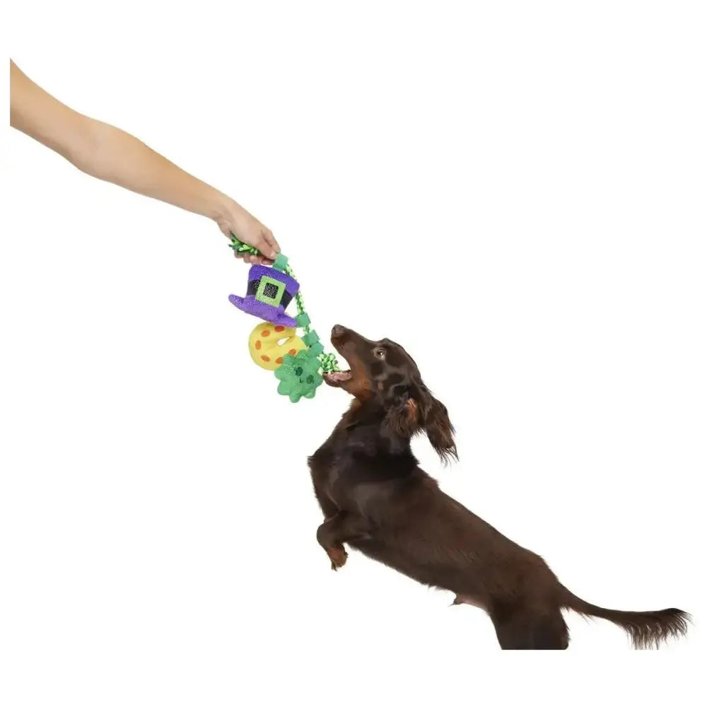 BARK Tuggy Charms Rope Dog Toy - Talis Us