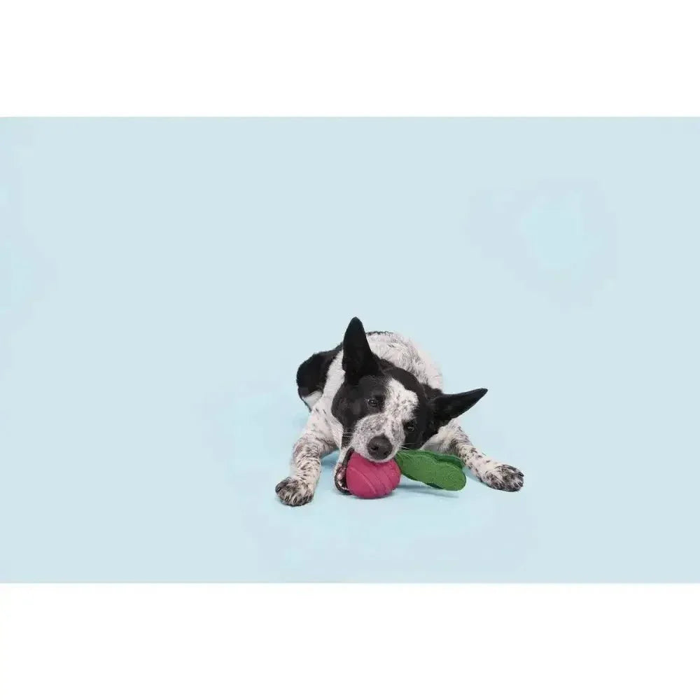 BARK Turnt Up Turnip Super Chewer Dog Toy - Talis Us