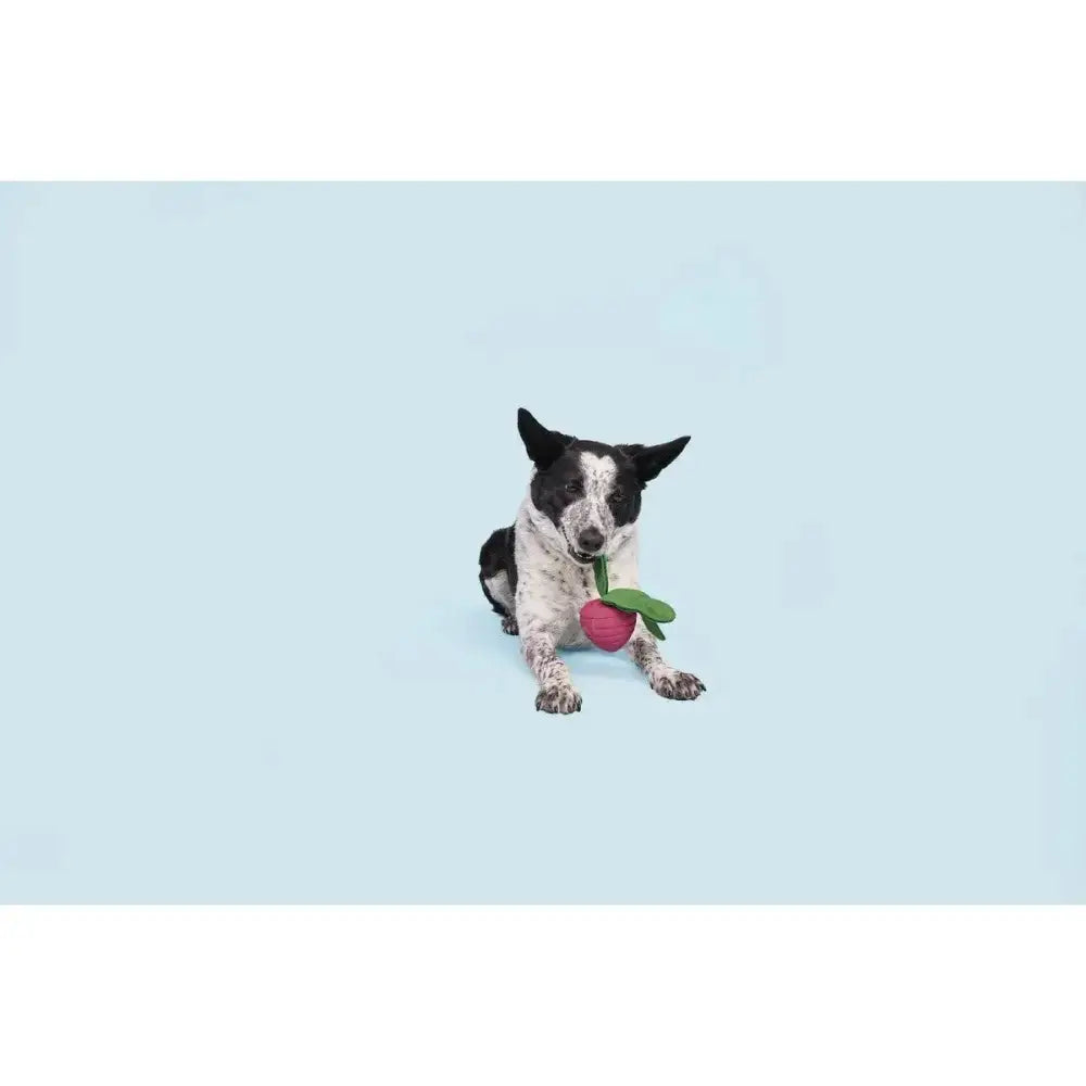 BARK Turnt Up Turnip Super Chewer Dog Toy - Talis Us