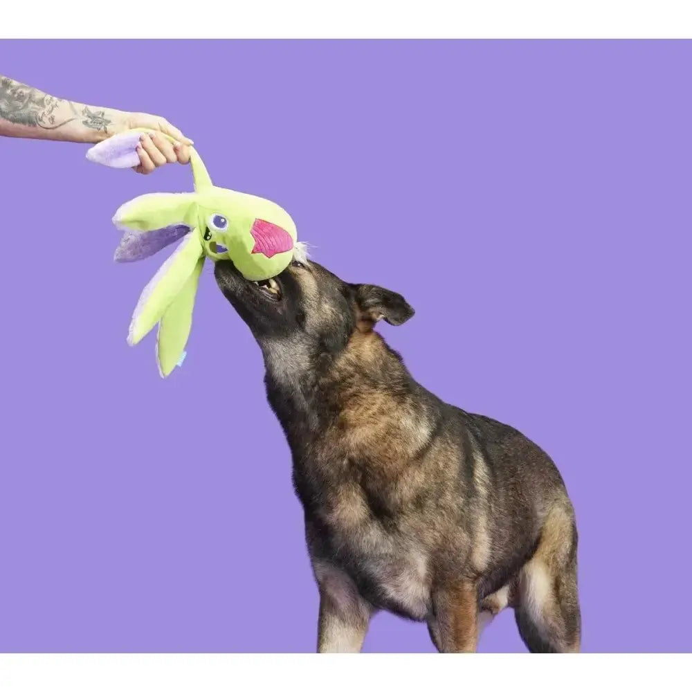 BARK Undead Ollie The Octopus Plush Dog Toy - Talis Us