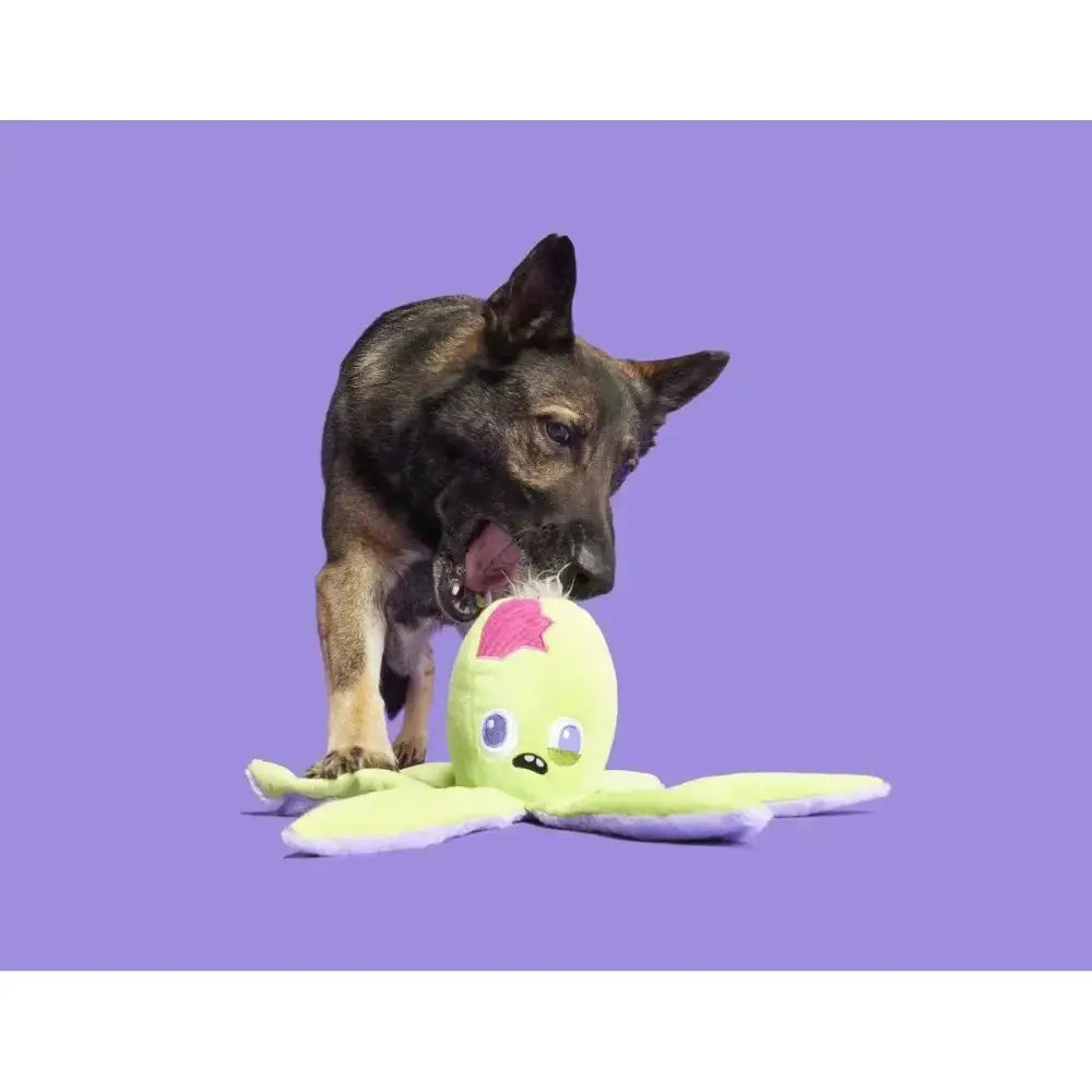 BARK Undead Ollie The Octopus Plush Dog Toy - Talis Us