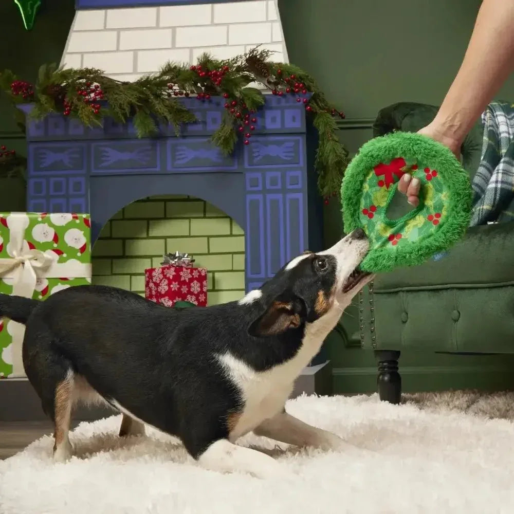 BARK Wreath Toss Dog Toys - Talis Us