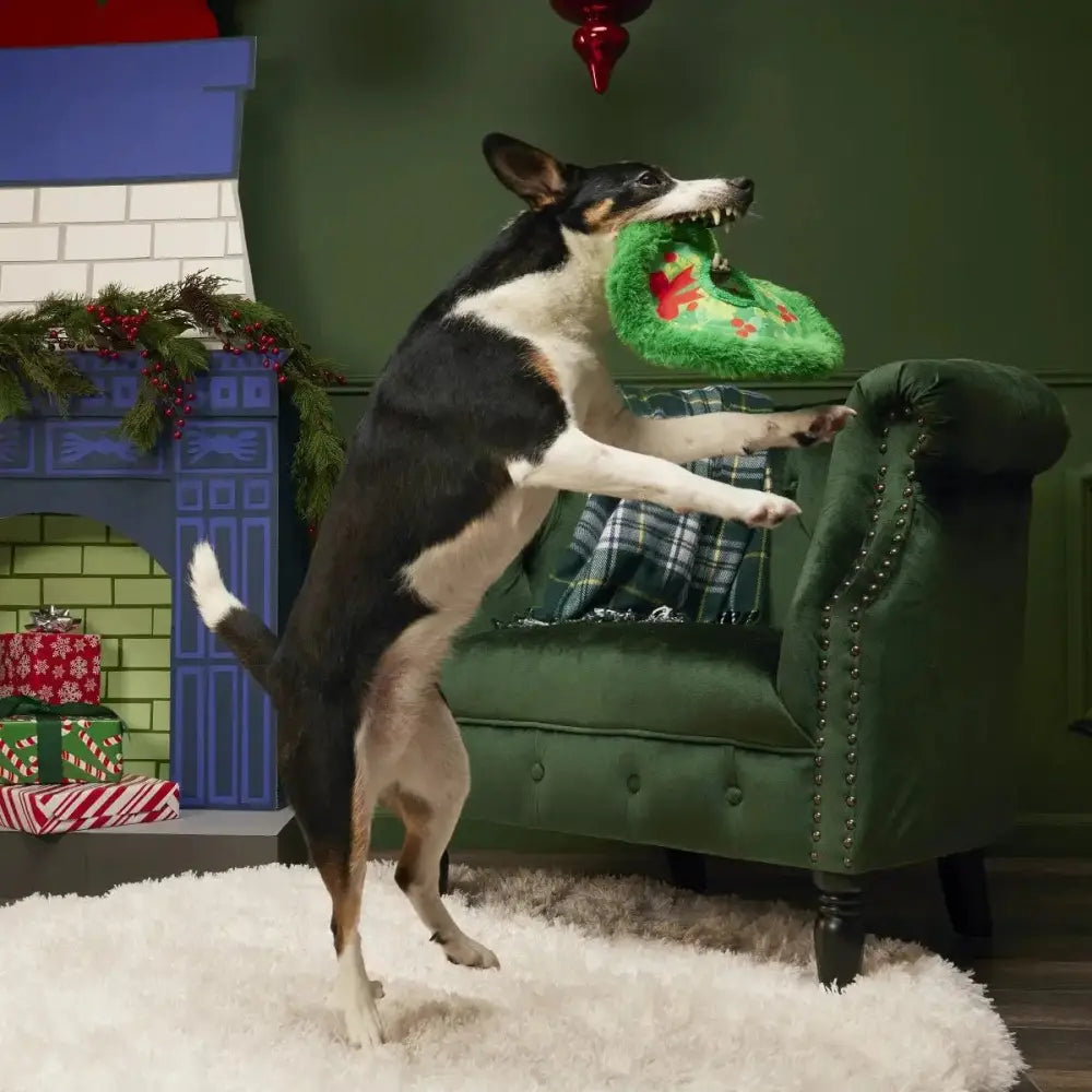 BARK Wreath Toss Dog Toys - Talis Us