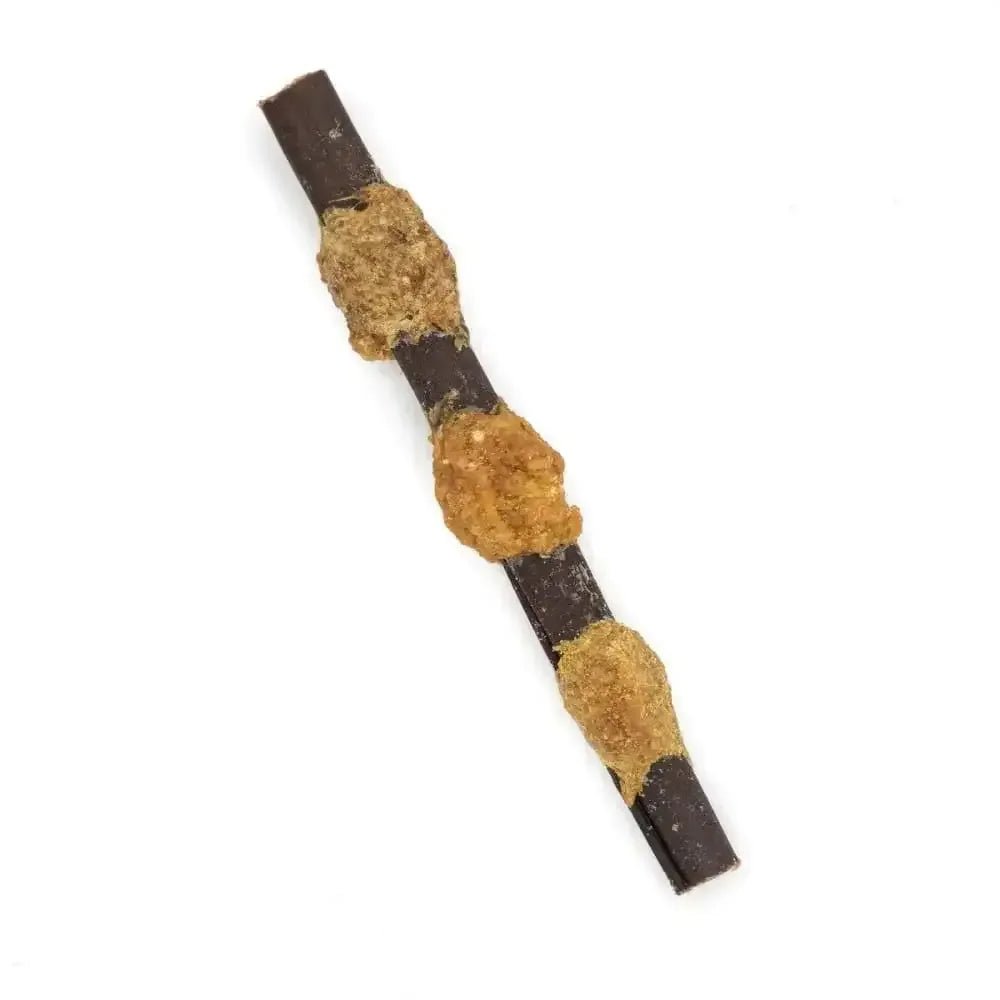 Barkworthies Collagen Beef Stick Kabobs 6" Bulk (Case of 35) - Talis Us