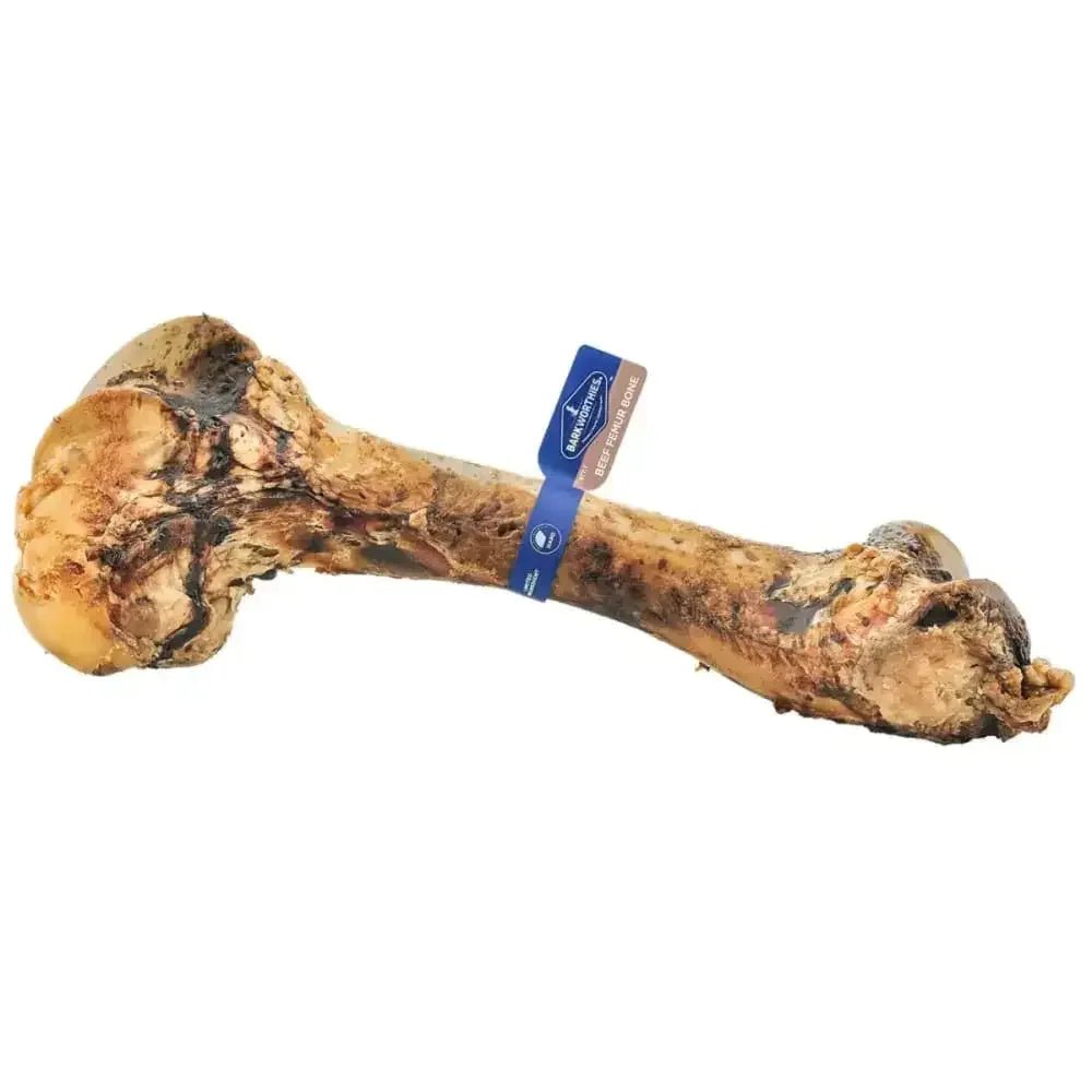 Barkworthies Femur Bone Dog Treat 5ct - Talis Us