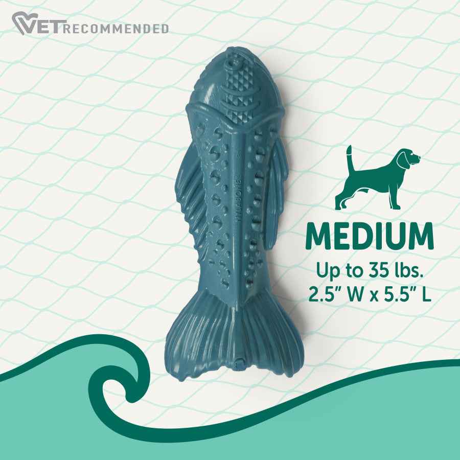 Nylabone Power Chew Love Our Oceans Textured Fish Dog Chew Toy