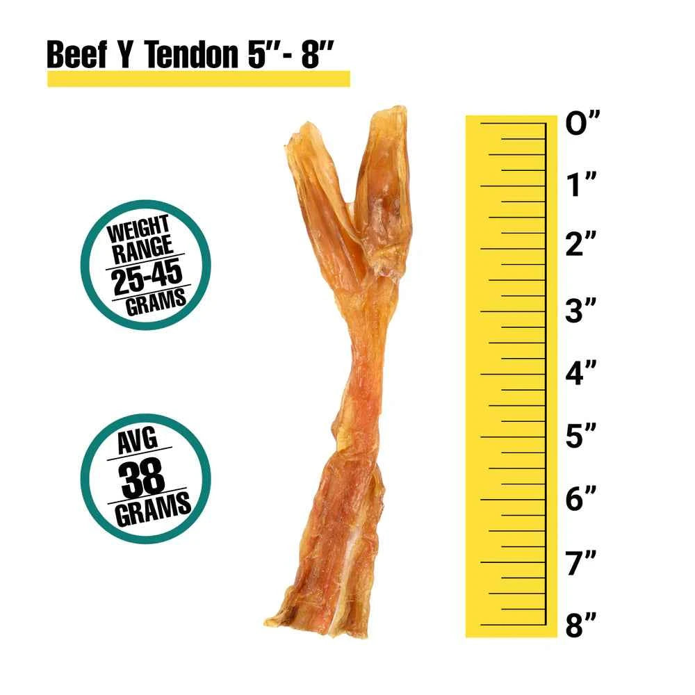 Talis Us Beef Y Tendon Dog Treats 6 Count