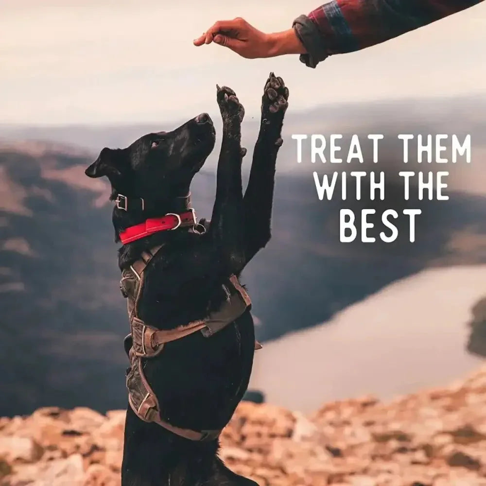Beg & Barker Beef Heart Chips Dog Treats - Talis Us