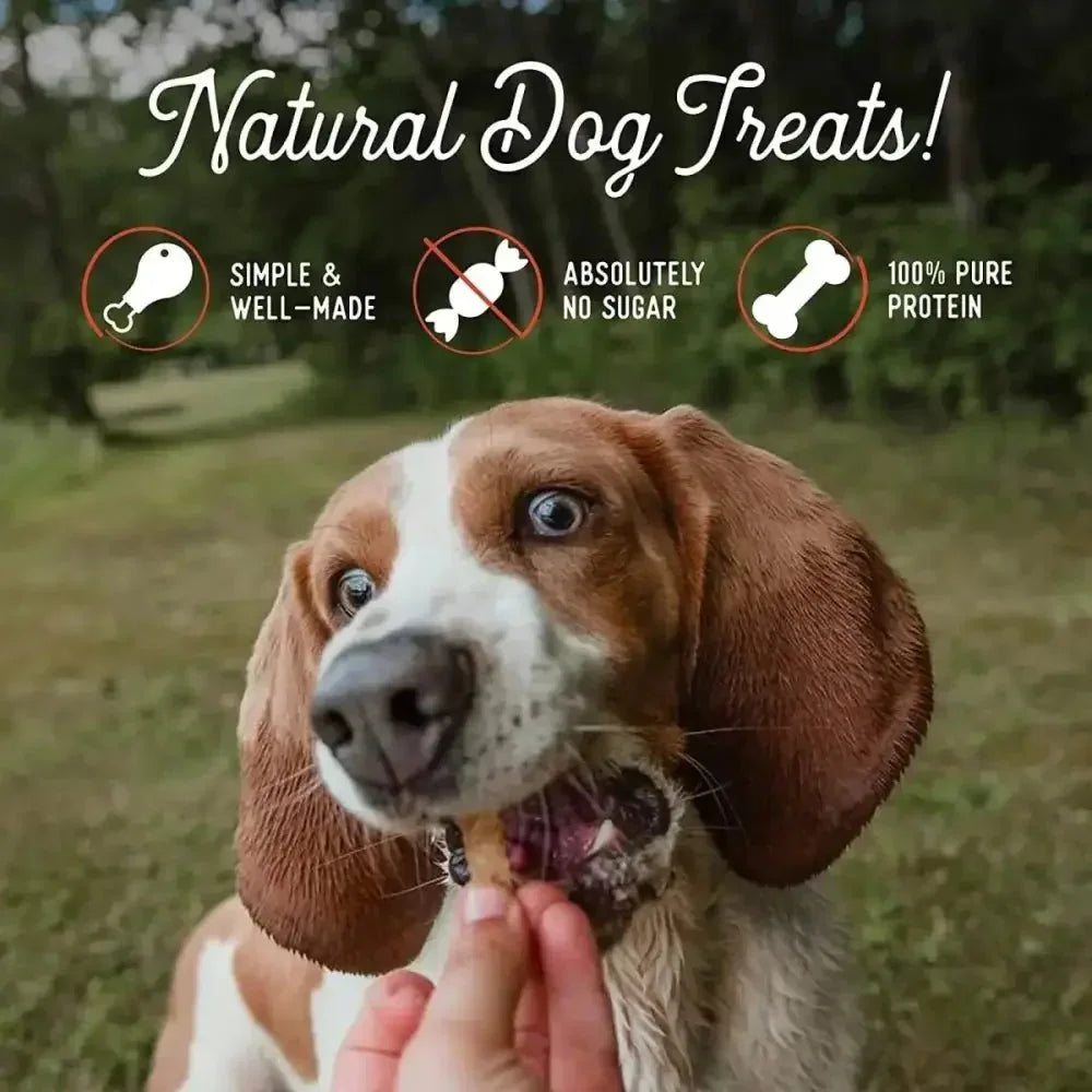 Beg & Barker Pork Loin Strip Dog Treats - Talis Us