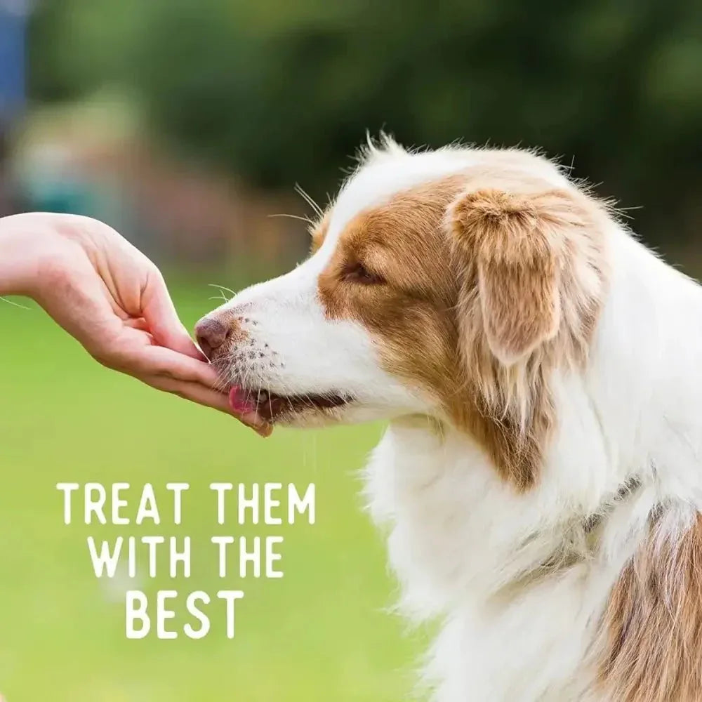 Beg & Barker Whole Chicken Chips Dog Treats - Talis Us