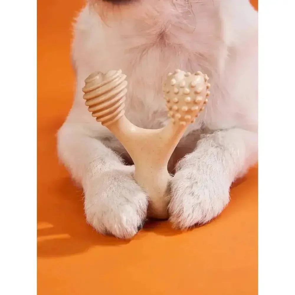 BetterBone Hard Beef Dog Chew Toy - Talis Us