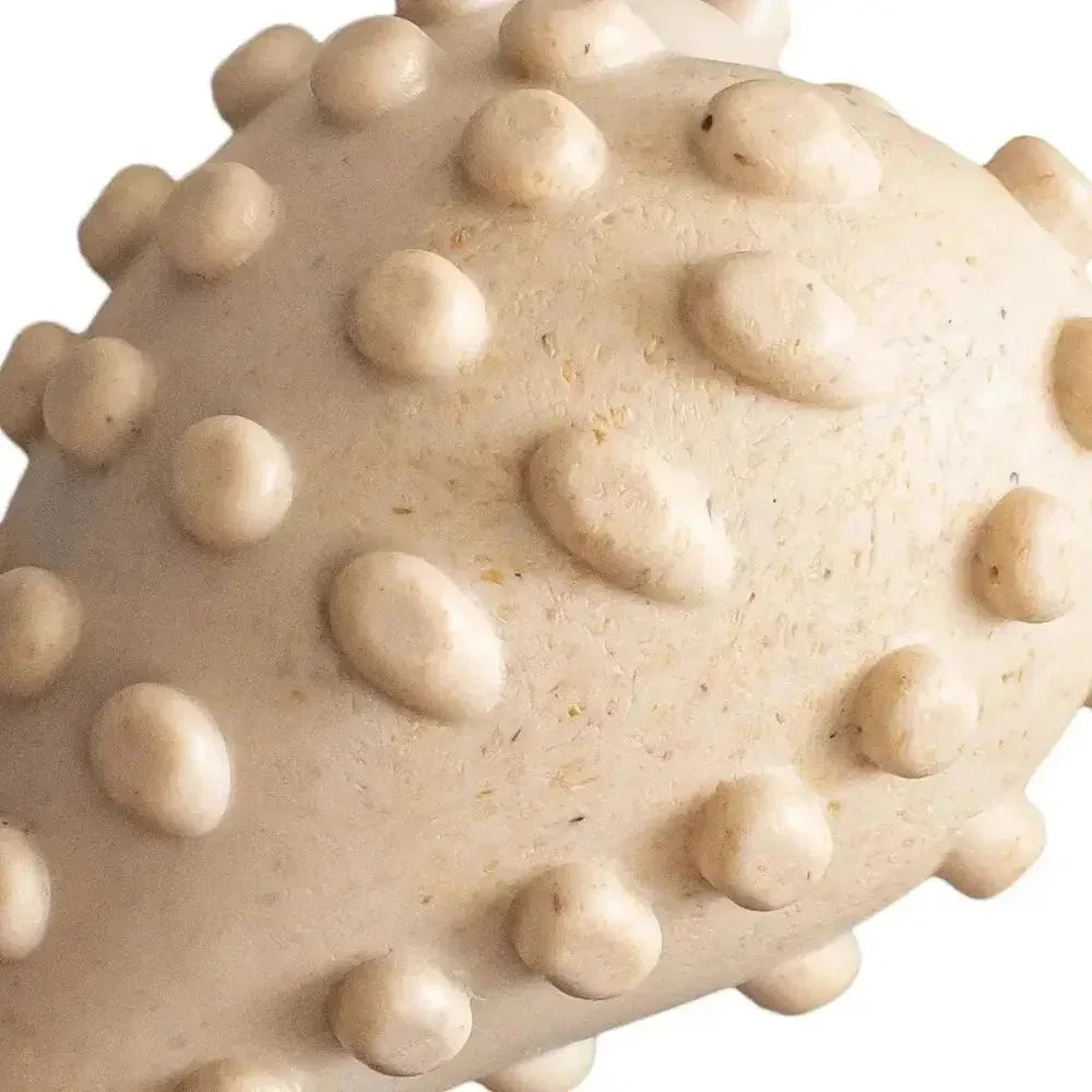 BetterBone Soft Classic Dog Chew Toy - Talis Us
