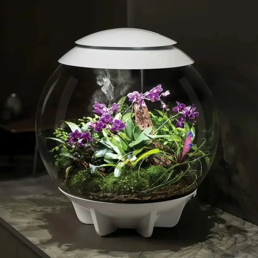 biOrb AIR 30 LED Terrarium - Talis Us
