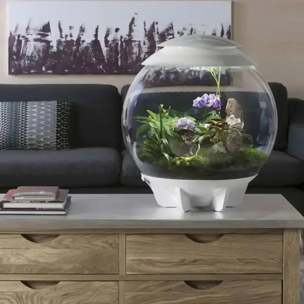 biOrb AIR 30 LED Terrarium - Talis Us