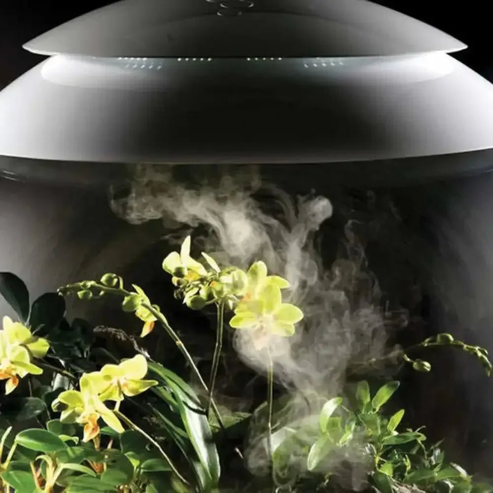 biOrb AIR 30 LED Terrarium - Talis Us