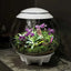 biOrb AIR LED Terrarium BiOrb