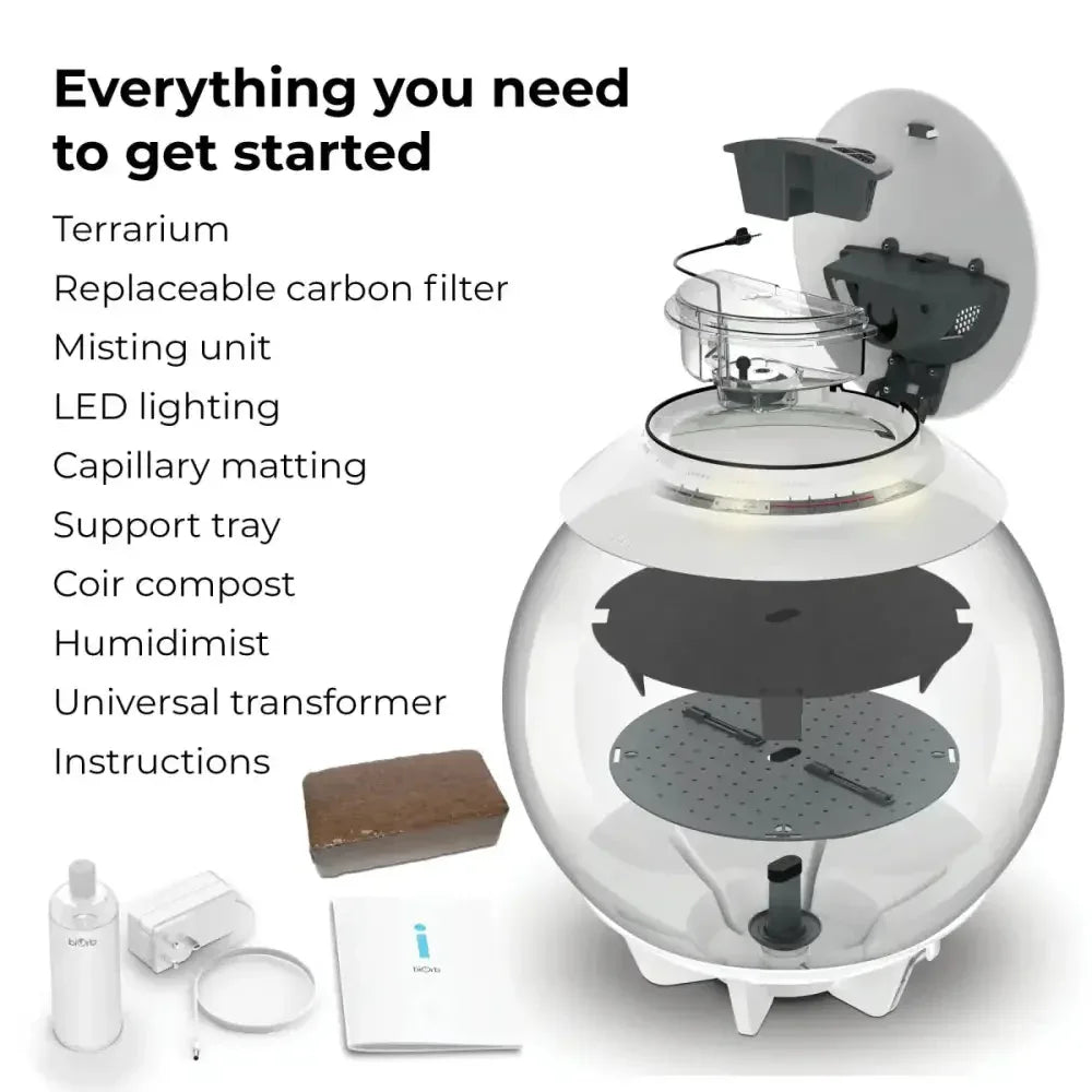 BiOrb AIR 60 Terrarium - Talis Us