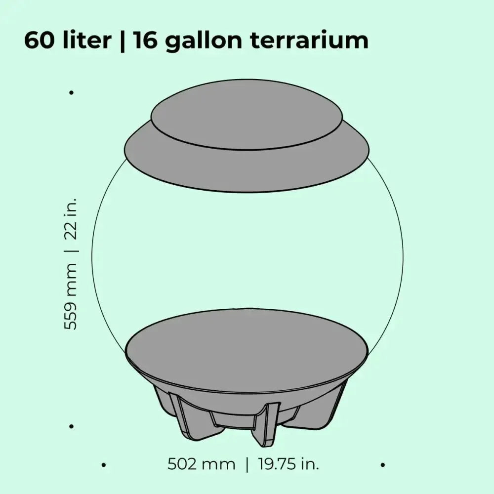 BiOrb AIR 60 Terrarium - Talis Us