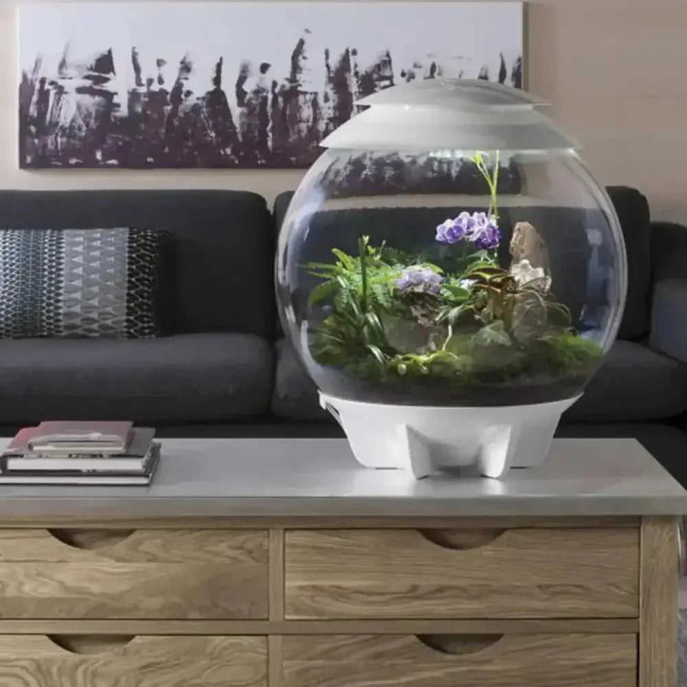 BiOrb AIR 60 Terrarium - Talis Us