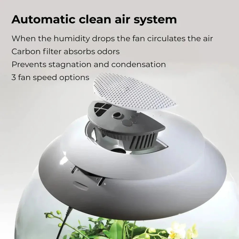 BiOrb AIR 60 Terrarium - Talis Us