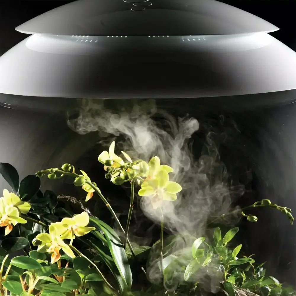 BiOrb AIR HumidiMist 5L - Talis Us