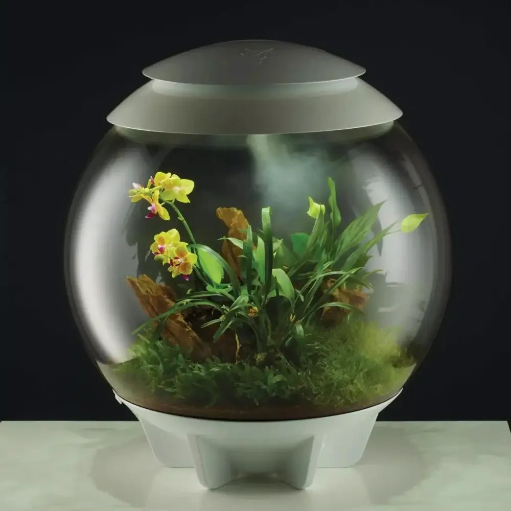 BiOrb AIR HumidiMist 5L - Talis Us
