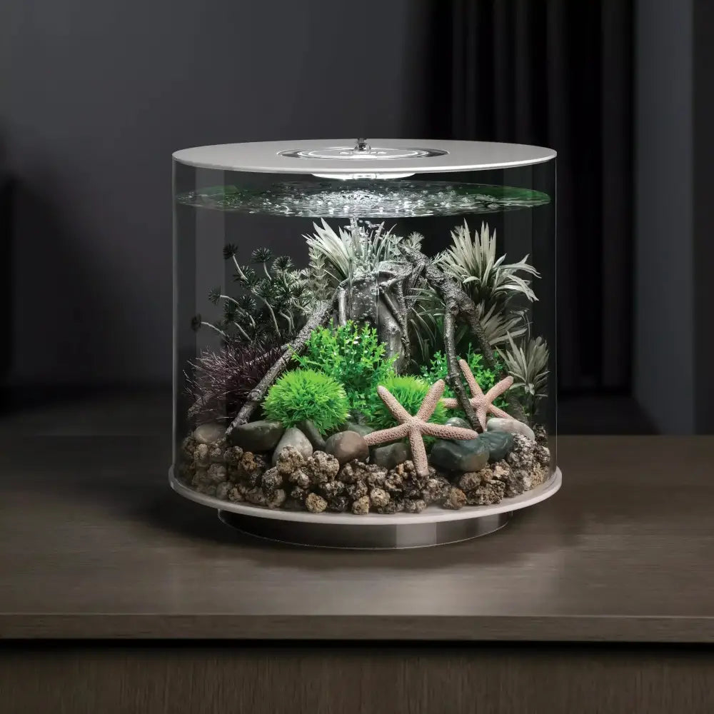 biOrb Amazonas Root Sculpture Aquarium Decor BiOrb