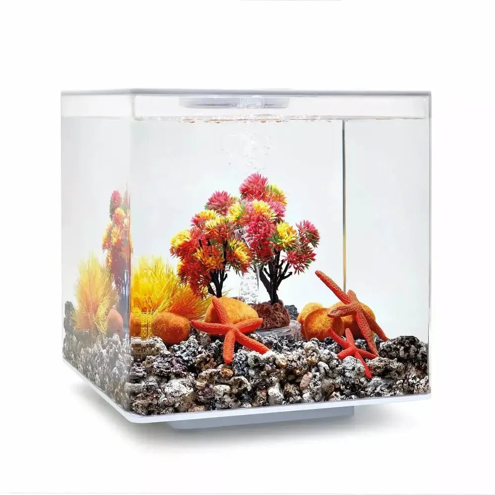 biOrb Aquarium Decor Set 15L - Talis Us