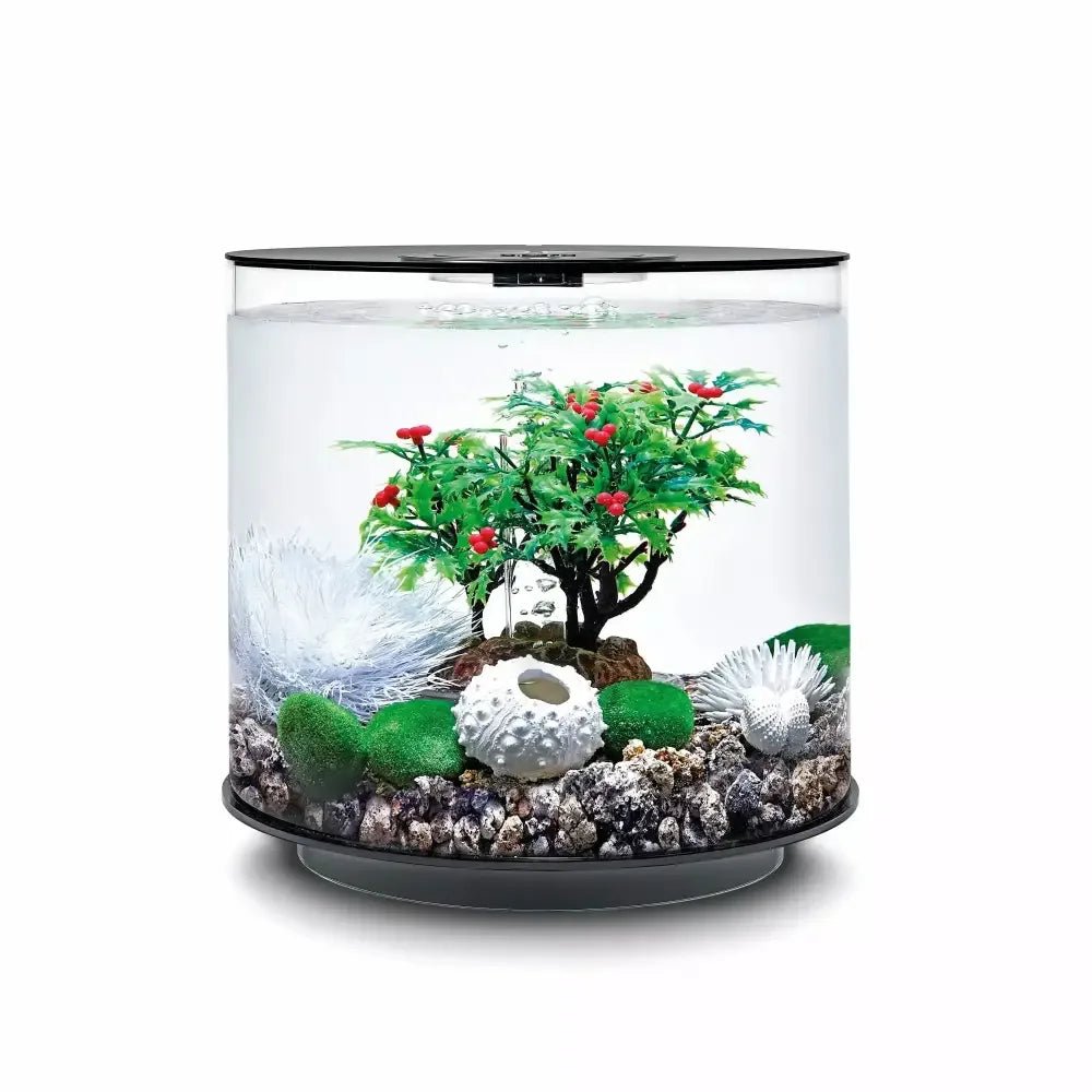 biOrb Aquarium Decor Set 15L - Talis Us