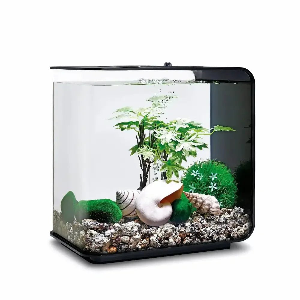 biOrb Aquarium Decor Set 15L - Talis Us