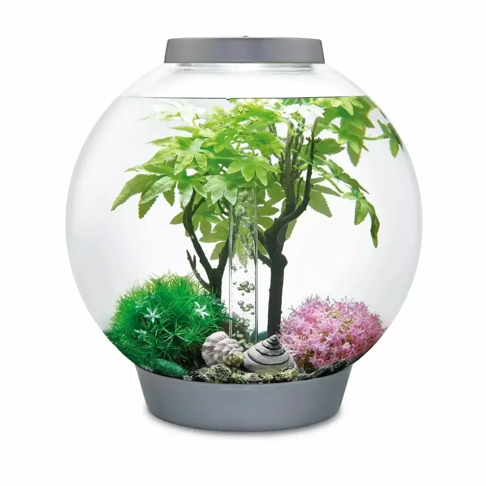 biOrb Aquarium Decor Set 30L - Talis Us