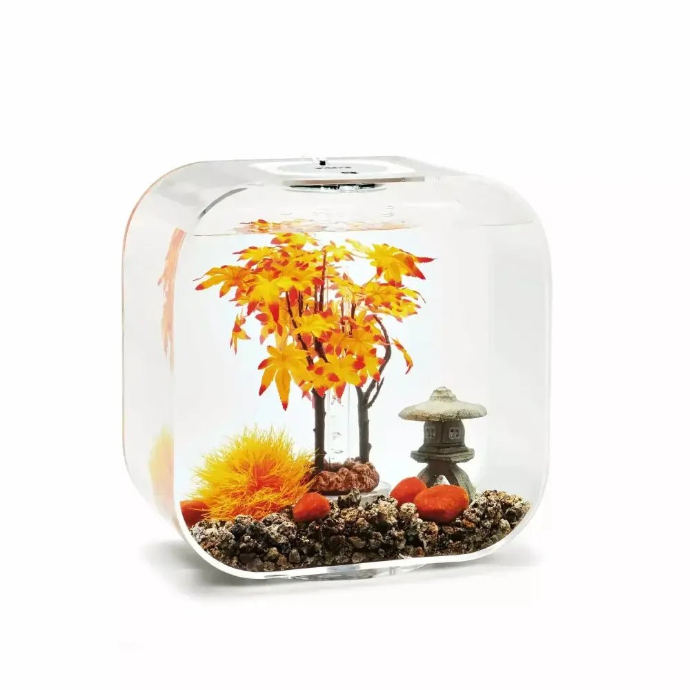 biOrb Aquarium Decor Set 30L - Talis Us