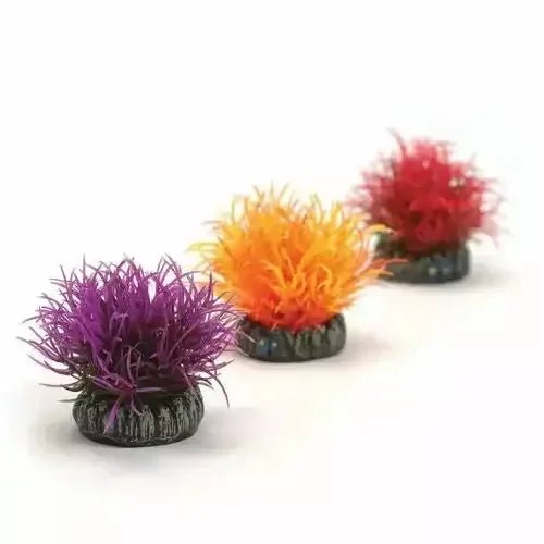 BiOrb Aquatic Color Ball Fish Tank Decor - Talis Us