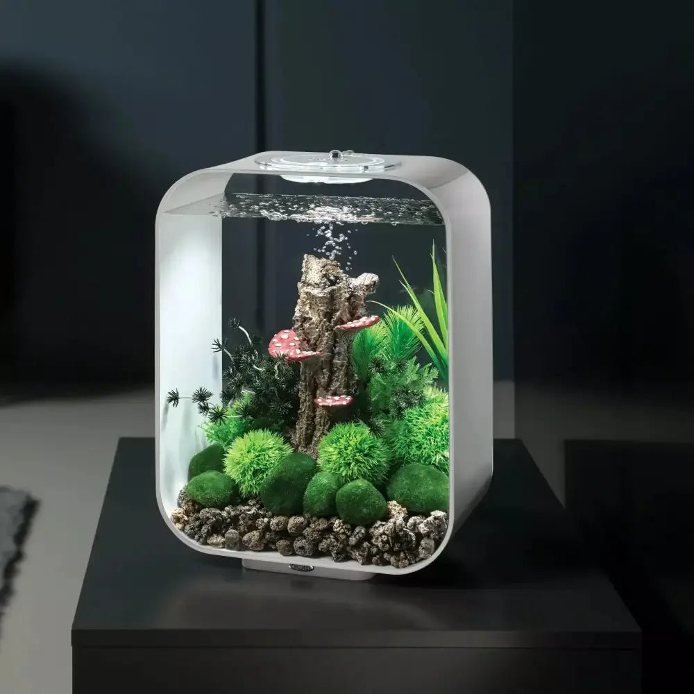 BiOrb Aquatic Topiary Ball Set of 3 Aquarium Decor - Talis Us
