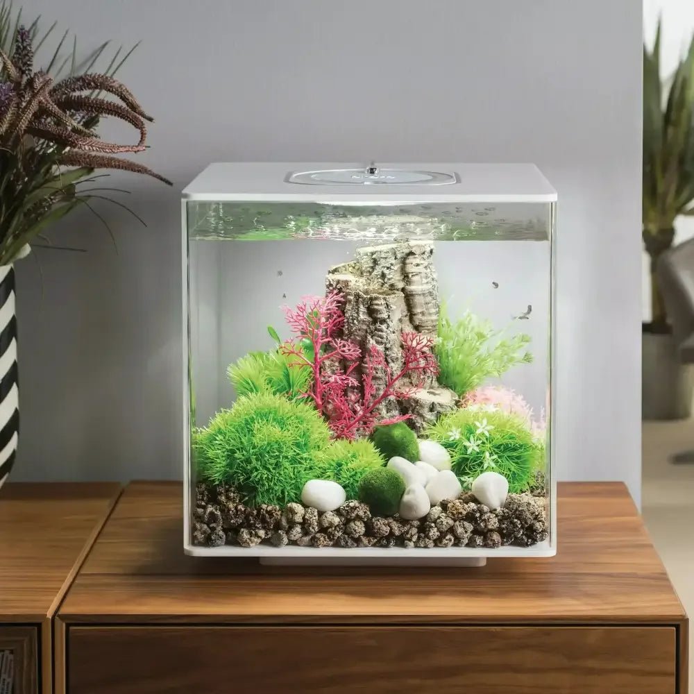 BiOrb Aquatic Topiary Ball Set of 3 Aquarium Decor - Talis Us