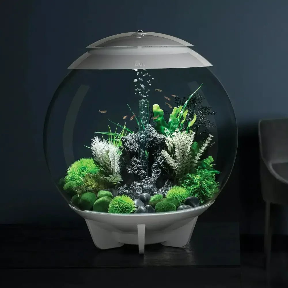 BiOrb Aquatic Topiary Ball Set of 3 Aquarium Decor - Talis Us