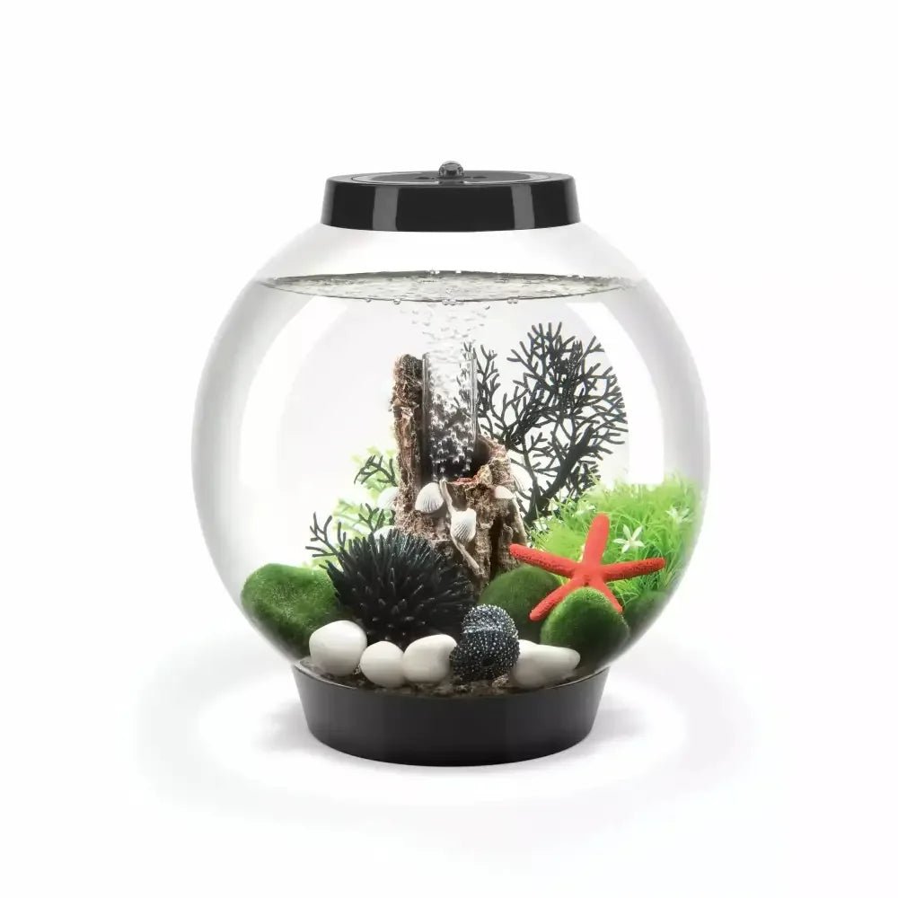 biOrb CLASSIC 15 Aquarium with MCR Light 4 gallon - Talis Us