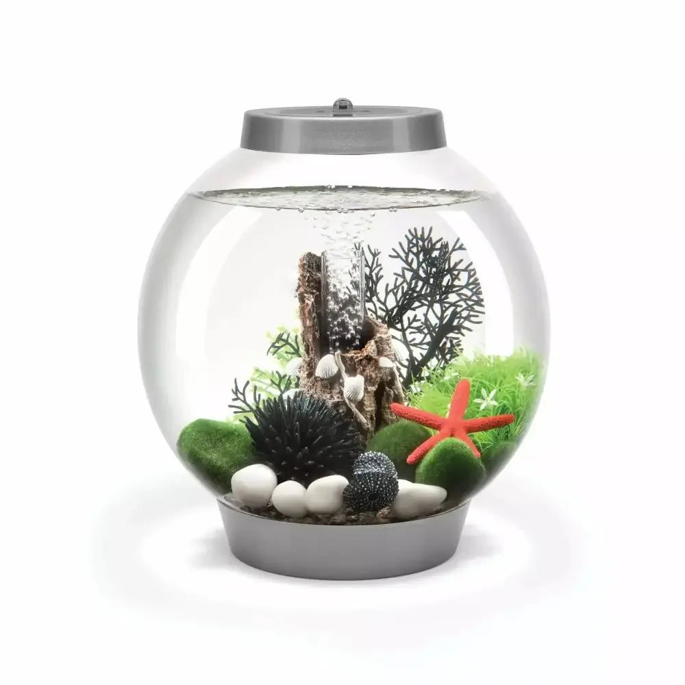 biOrb CLASSIC 15 Aquarium with MCR Light 4 gallon - Talis Us