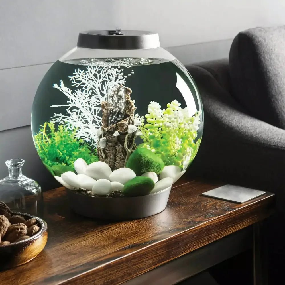 biOrb CLASSIC 15 Aquarium with MCR Light 4 gallon - Talis Us