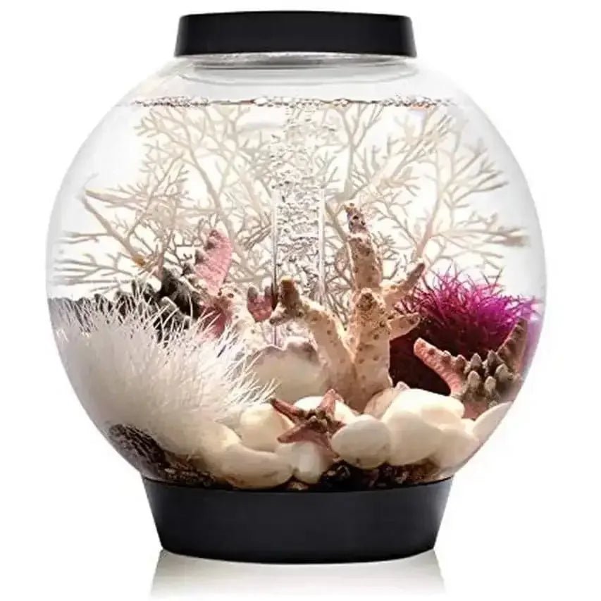 biOrb CLASSIC 15 Aquarium with Standard Light 4 gallon - Talis Us