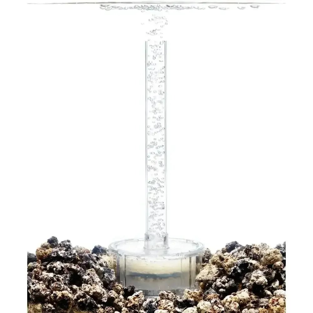 biOrb CLASSIC 15 Aquarium with Standard Light 4 gallon - Talis Us