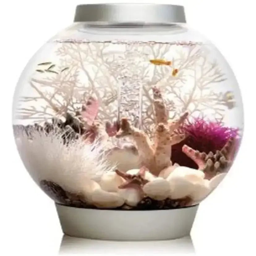 biOrb CLASSIC 15 Aquarium with Standard Light 4 gallon - Talis Us