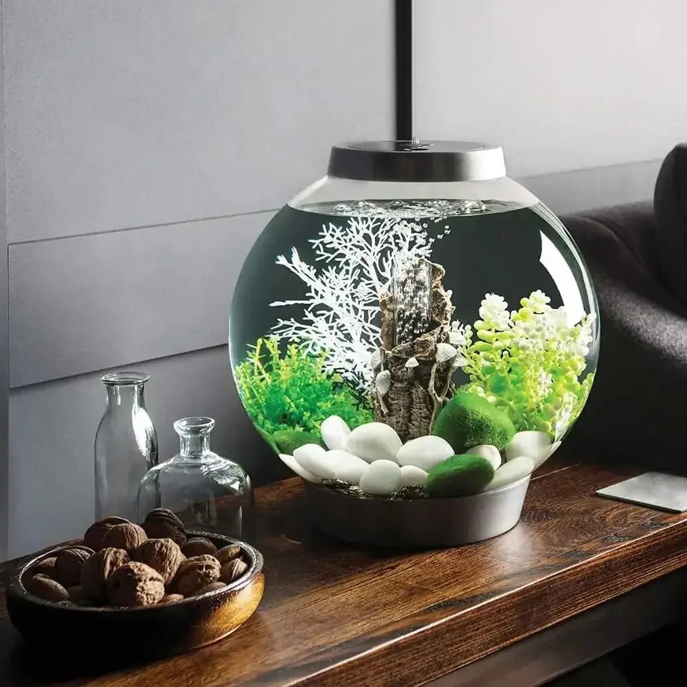biOrb CLASSIC 15 Aquarium with Standard Light 4 gallon - Talis Us