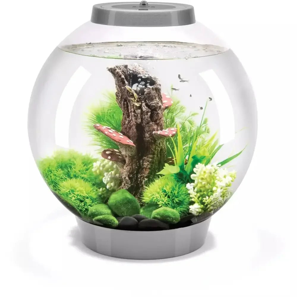 biOrb CLASSIC 30 Aquarium with MCR Light 8 gallon - Talis Us