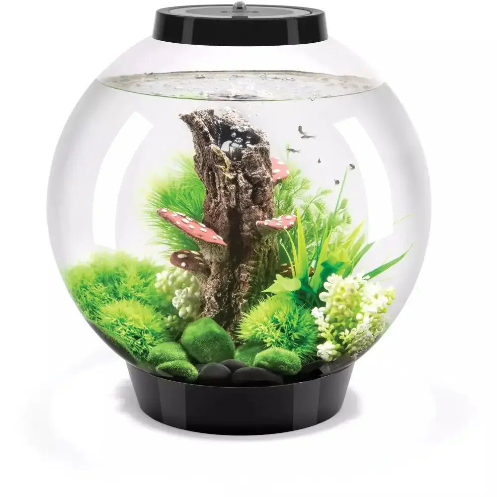 biOrb CLASSIC 30 Aquarium with MCR Light 8 gallon - Talis Us