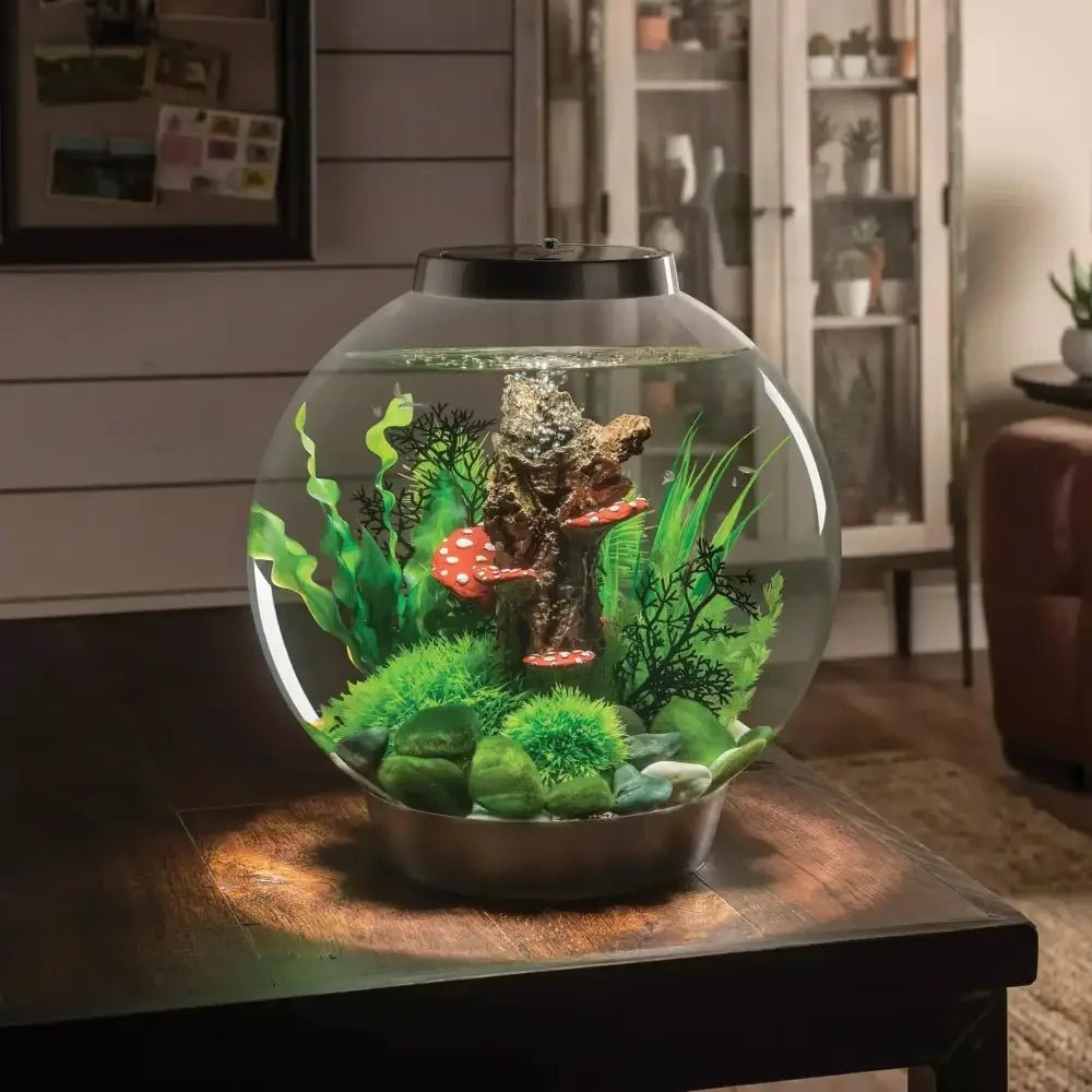 biOrb CLASSIC 30 Aquarium with MCR Light 8 gallon - Talis Us