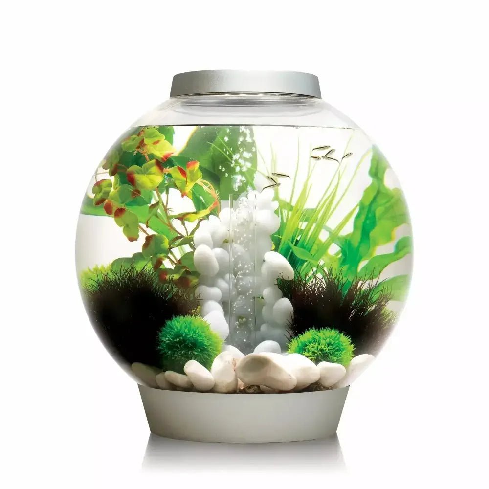 biOrb CLASSIC 30 Aquarium with Standard Light 8 gallon - Talis Us