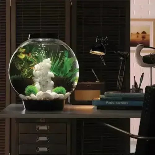 biOrb CLASSIC 30 Aquarium with Standard Light 8 gallon - Talis Us